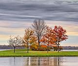 Autumn Trees_18190